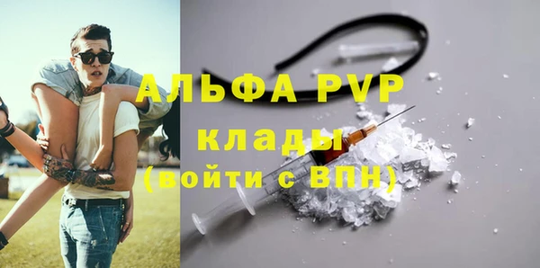гашик Каменка