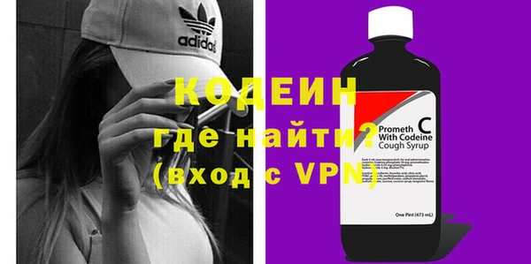 гашик Каменка