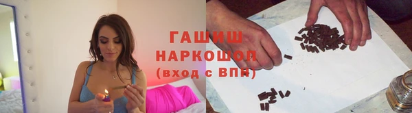 гашик Каменка