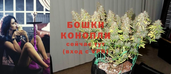 гашик Каменка