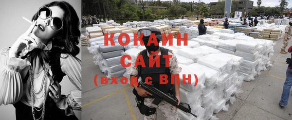 гашик Каменка