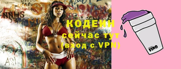 гашик Каменка