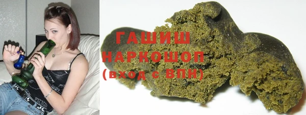 гашик Каменка