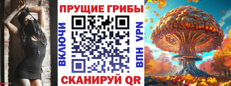 цена   Киржач  мориарти наркотические препараты  Псилоцибиновые грибы Psilocybe 